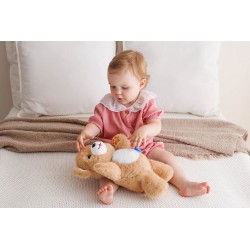 DUMEL DD 30819 Niedźwiadek brunatny