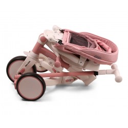 MILLY MALLY 6380 Rowerek trójkołowy Zippy Pink
