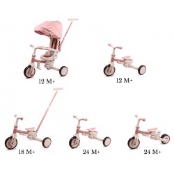 MILLY MALLY 6380 Rowerek trójkołowy Zippy Pink