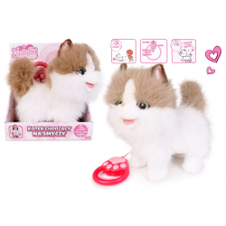 ARTYK 181818 Kot chodzący na smyczy NATALIA biało-rudy