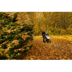 ŚPIWOREK INDIANA GRAPHITE 100 X 50