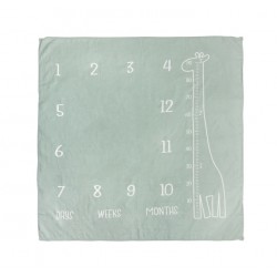 MATA MUŚLINOWA DO ZDJĘĆ ŻYRAFA MIĘTOWY 120x120